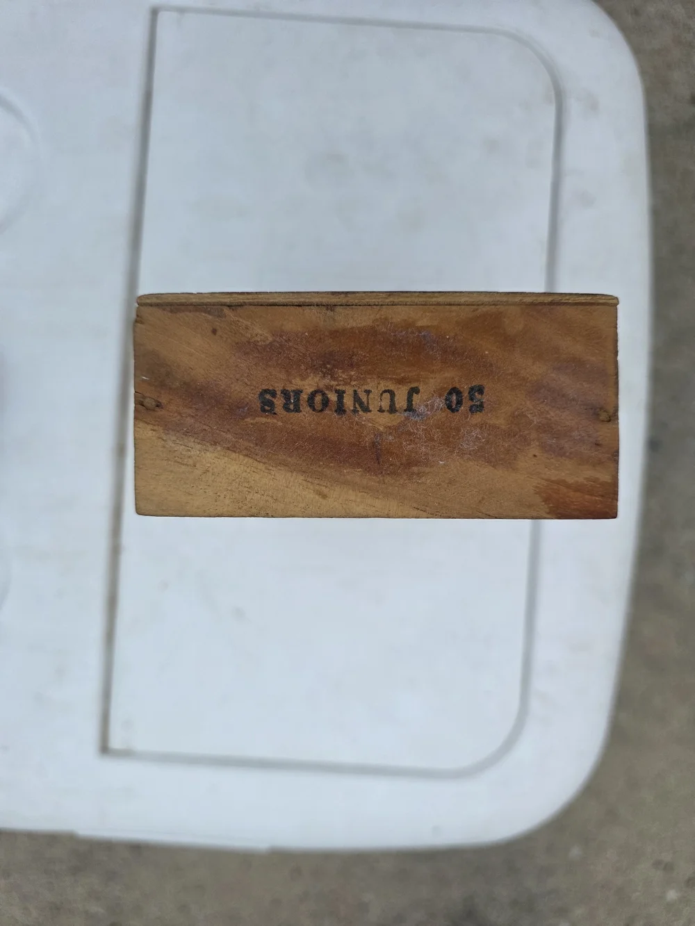 Vintage Handcrafted Wooden Box with Shorebird Etching & Dominos- Natural Brown